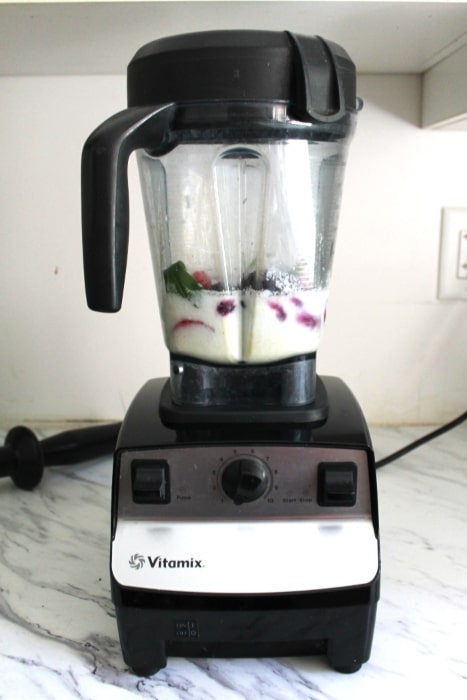 Vitamix 5300 blender